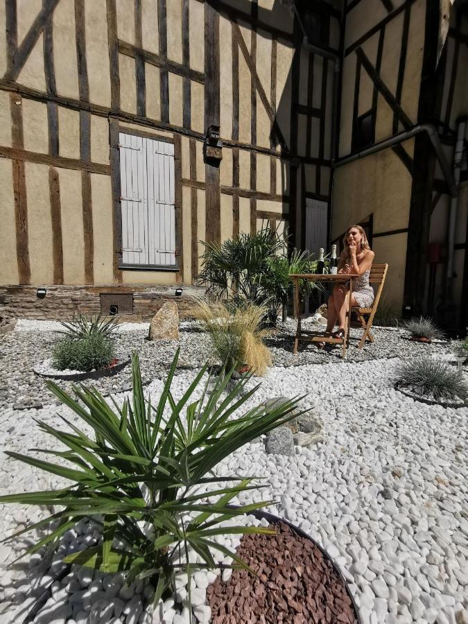Les Cieux De La Cathedrale - Calme - Jardin - Wifi Διαμέρισμα Τρουά Εξωτερικό φωτογραφία